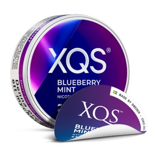 XQS Transition Pack BLUEBERRY MINT 8mg