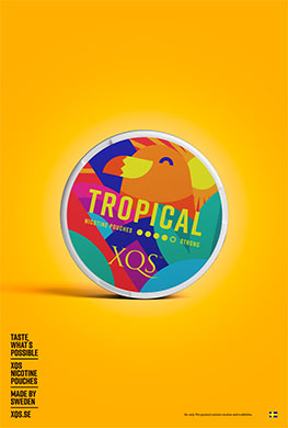 XQS Tropical Snus