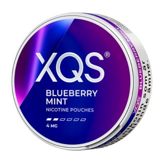 XQS Blueberry Mint