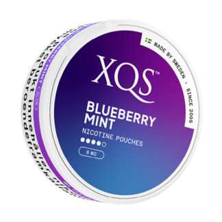 XQS Blueberry Mint 8mg Strong