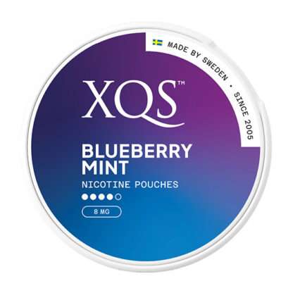 XQS Blueberry Mint 8mg Strong 2