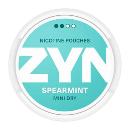 ZYN Spearmint Mini Dry Normal 2