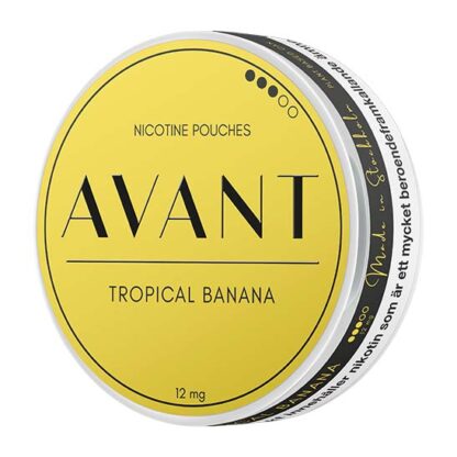 Avant Tropical Banana