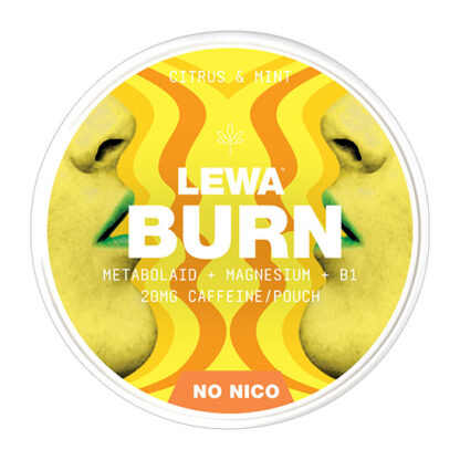 LEWA BURN Functional Citrus Mint 2