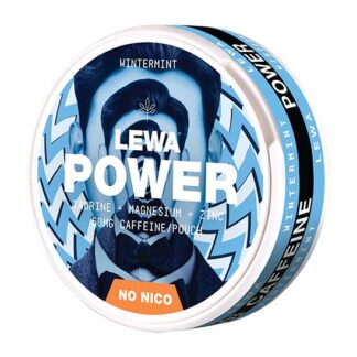 LEWA POWER Functional Wintermint