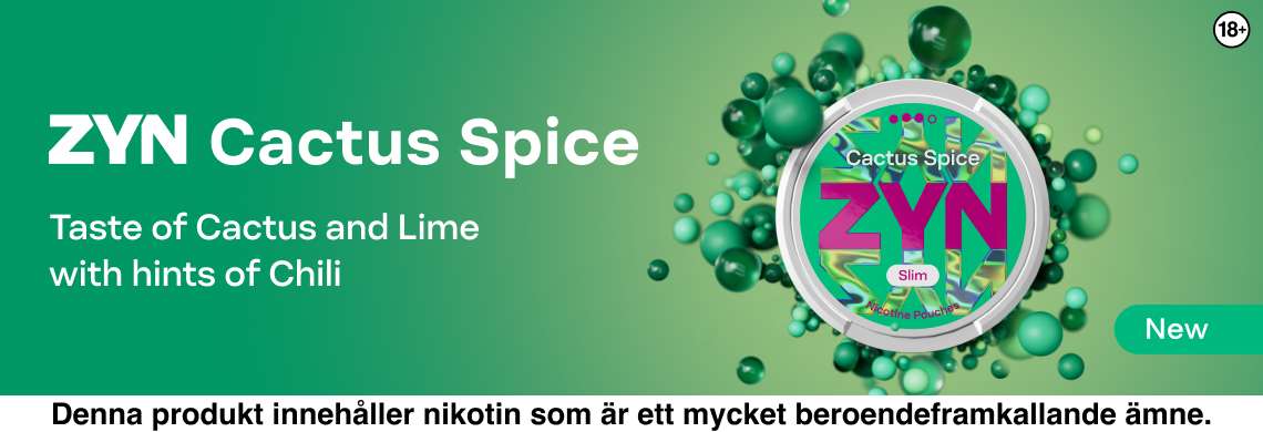 ZYN Cactus Spice S3 Top Banner 1140x390