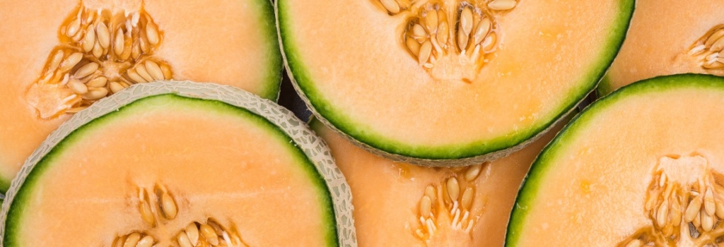 Köp melon snus hos Minprilla
