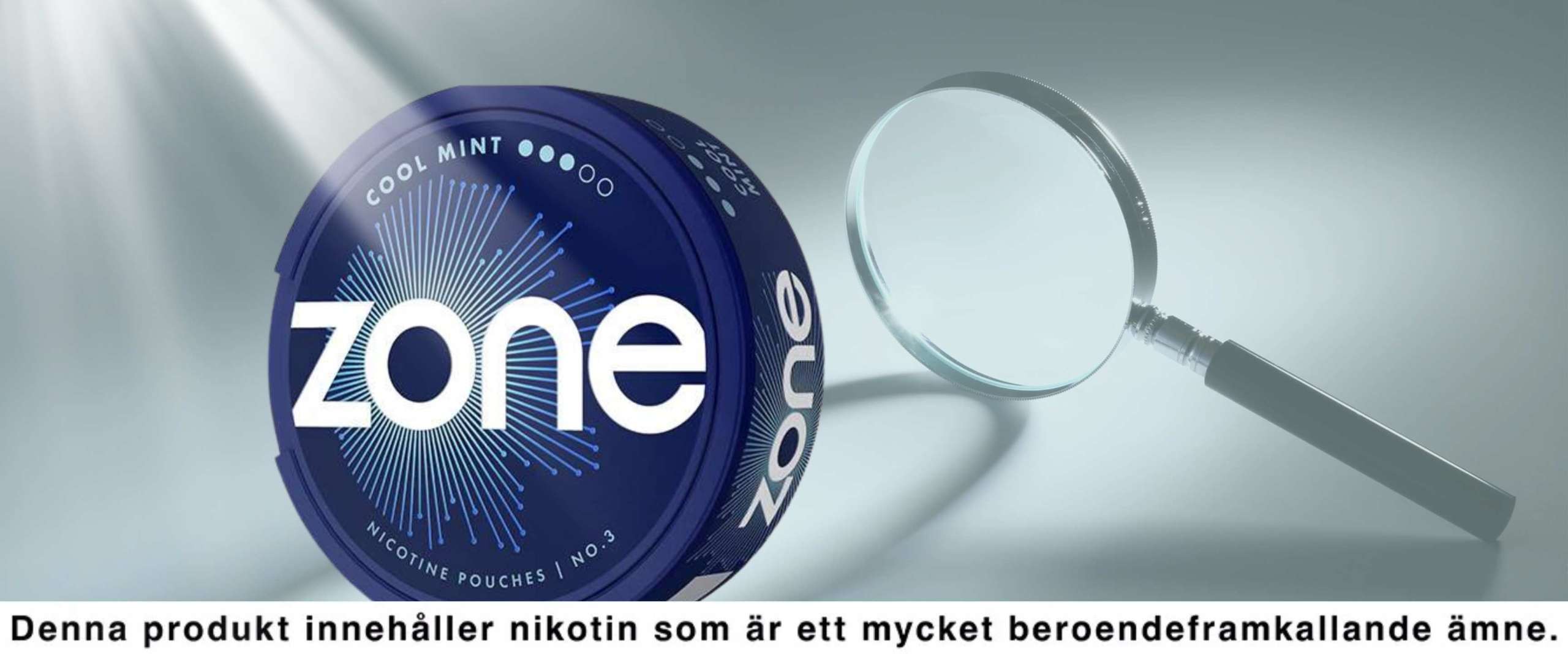 En enkätundersökning om ZONE av MinPrilla