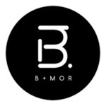 BMOR RINGO engångsvape logo px300x300