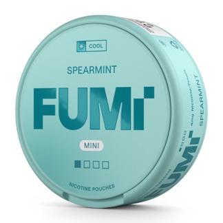 FUMi Spearmint Mini Regular